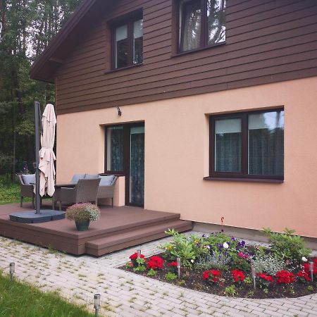Kristinos Apartment Druskininkai Extérieur photo