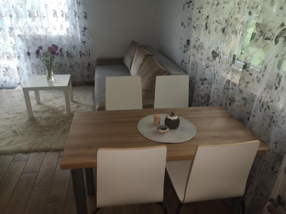 Kristinos Apartment Druskininkai Extérieur photo