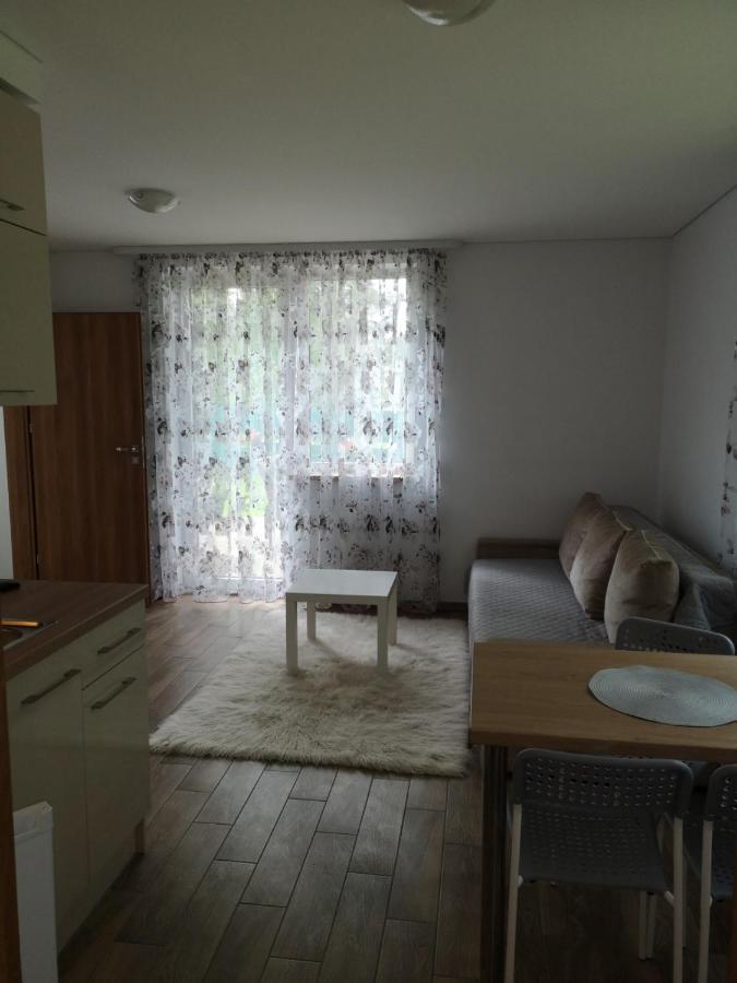 Kristinos Apartment Druskininkai Extérieur photo