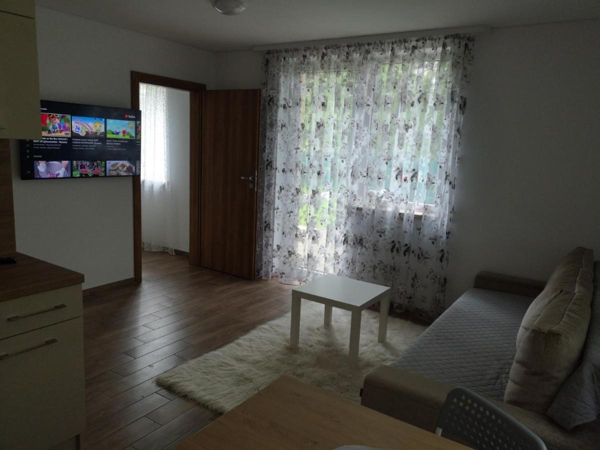 Kristinos Apartment Druskininkai Extérieur photo