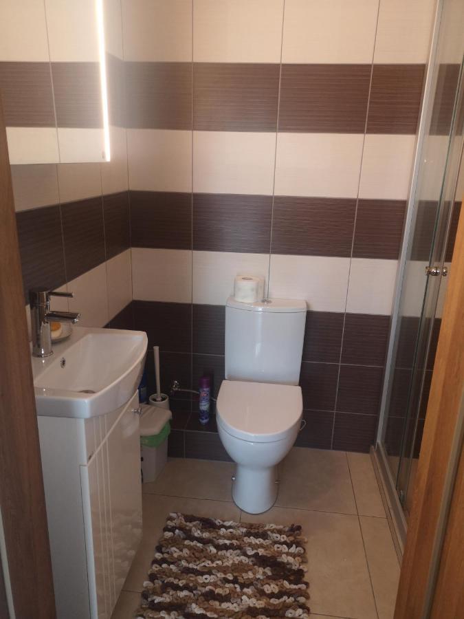 Kristinos Apartment Druskininkai Extérieur photo
