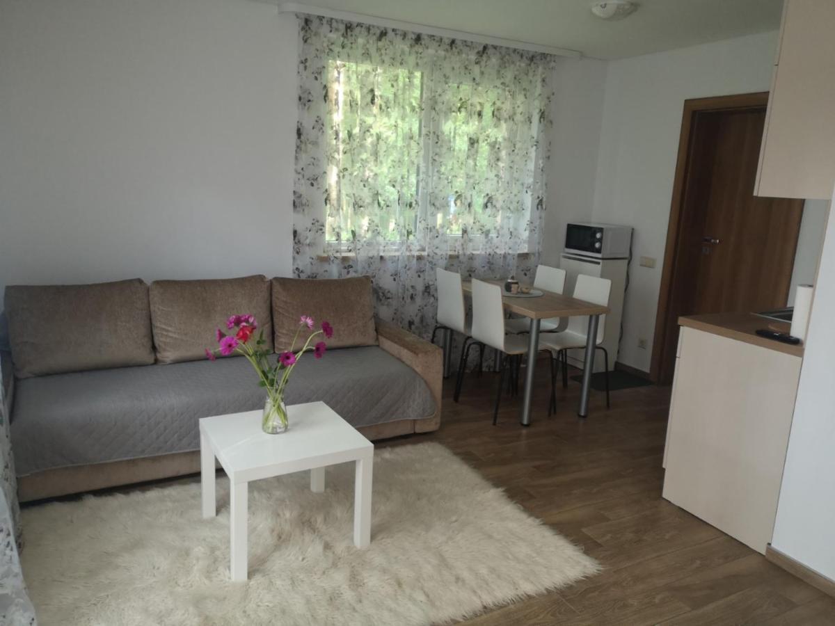 Kristinos Apartment Druskininkai Extérieur photo