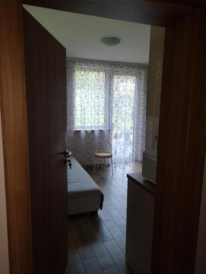 Kristinos Apartment Druskininkai Extérieur photo