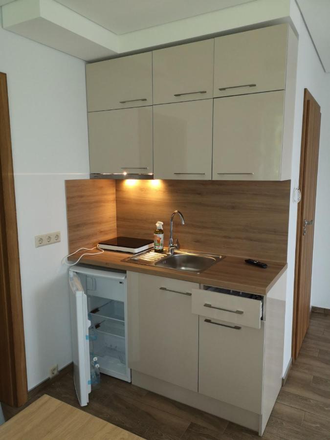 Kristinos Apartment Druskininkai Extérieur photo