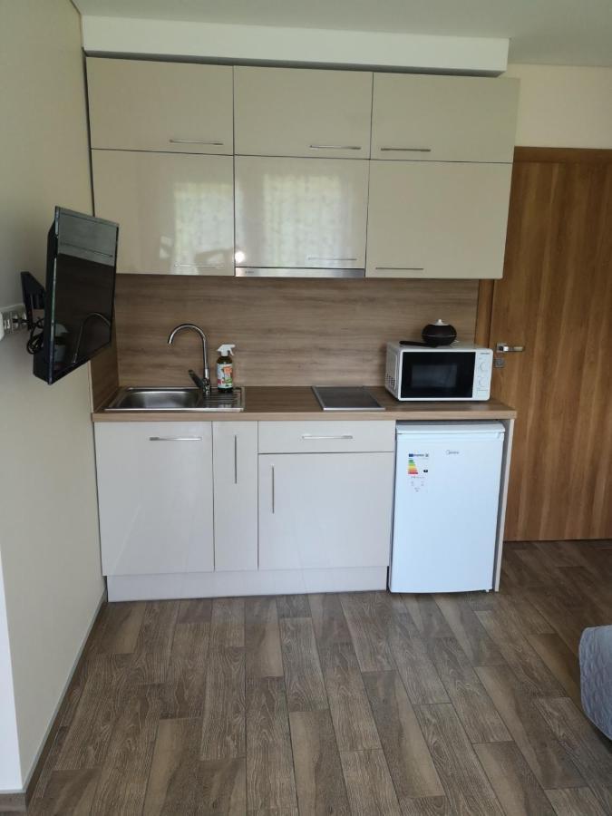 Kristinos Apartment Druskininkai Extérieur photo