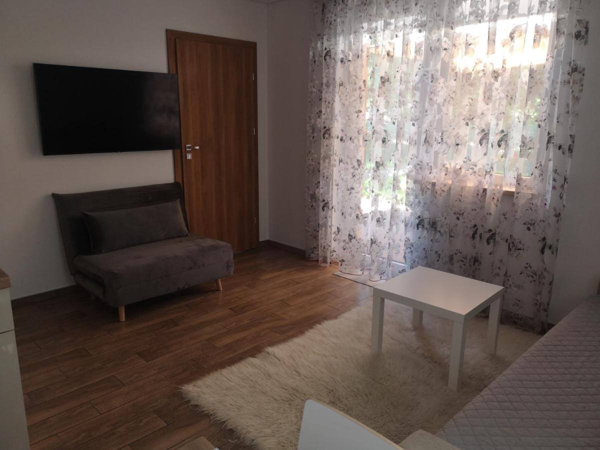 Kristinos Apartment Druskininkai Extérieur photo