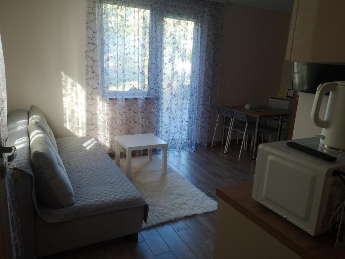 Kristinos Apartment Druskininkai Extérieur photo