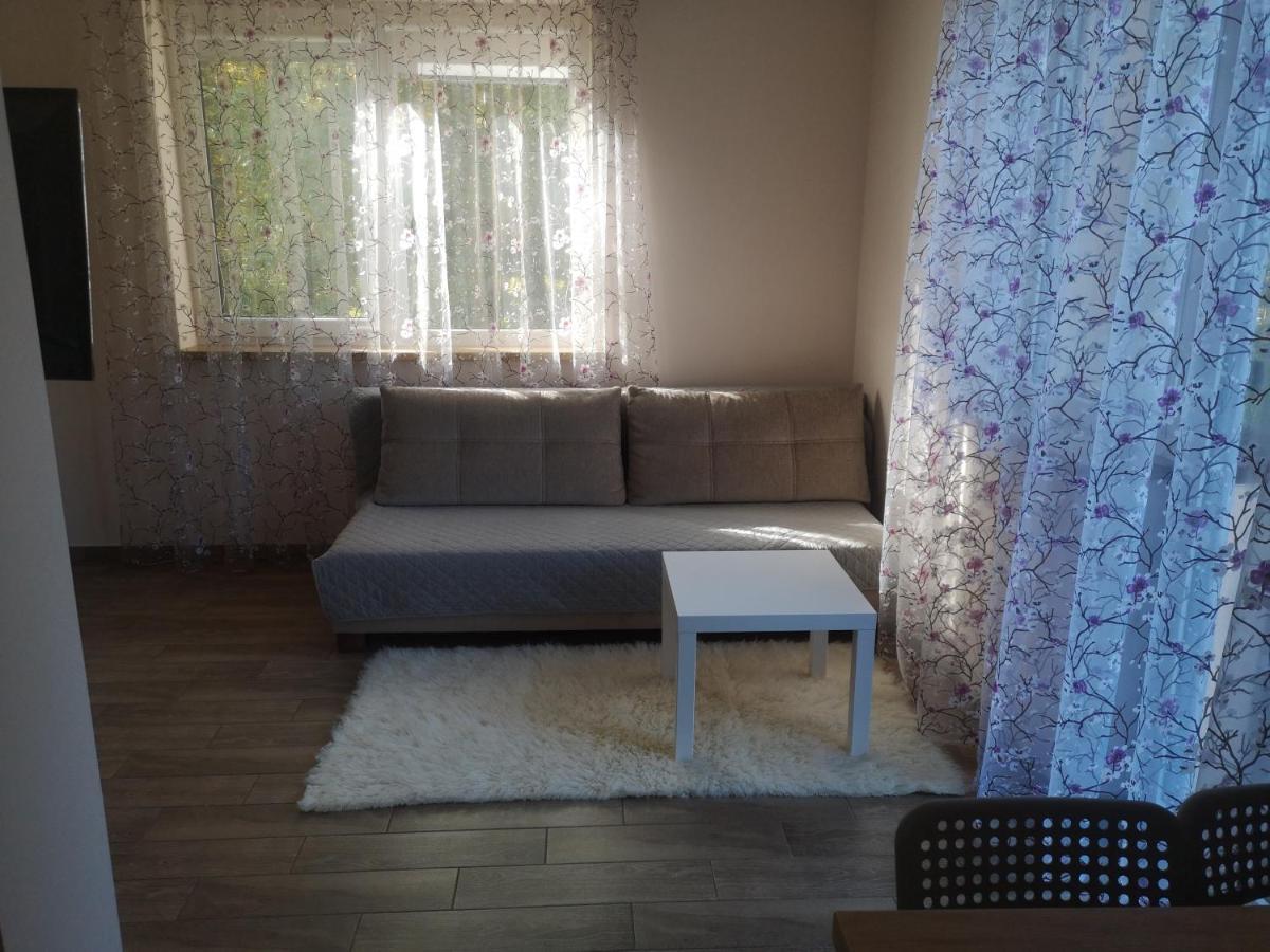 Kristinos Apartment Druskininkai Extérieur photo