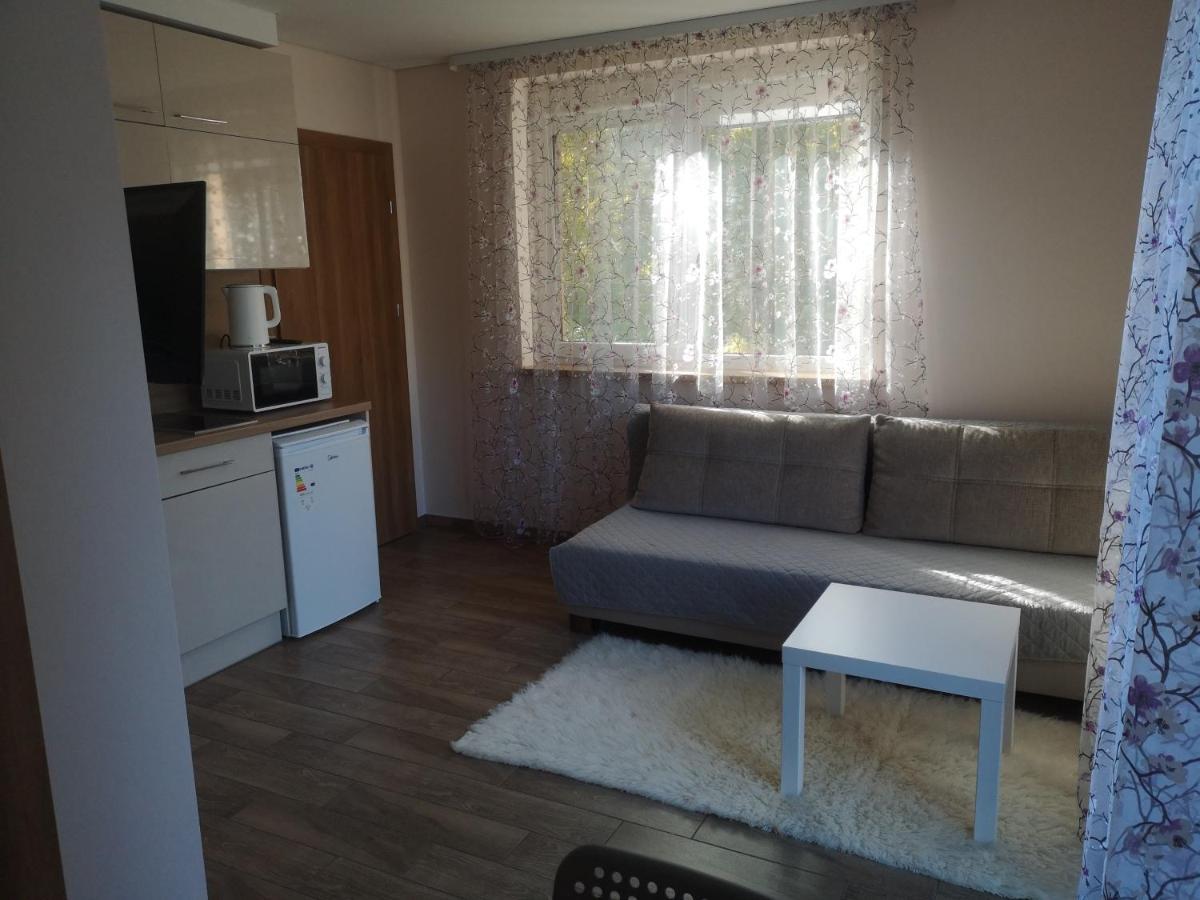 Kristinos Apartment Druskininkai Extérieur photo